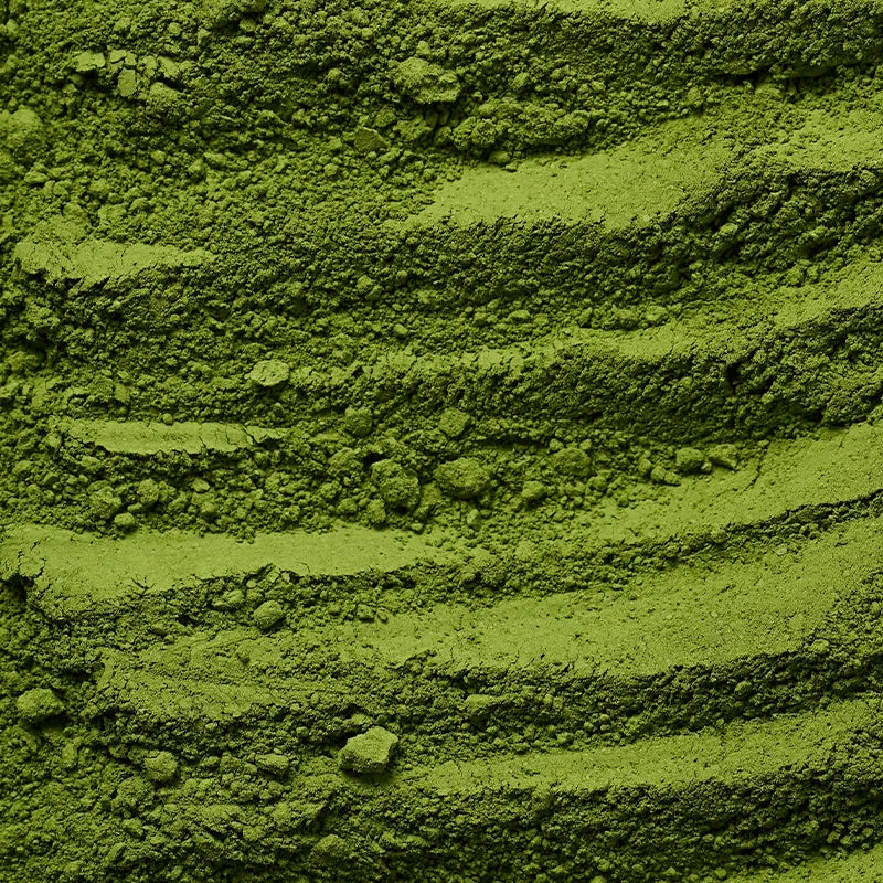 Matcha Tiramisu Rezept
