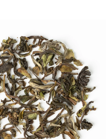 Darjeeling SFTGFOP1 First Flush Steinthal