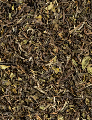 Darjeeling Grand Duo