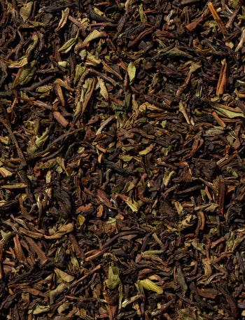Tea Classics Pyramidenbeutel