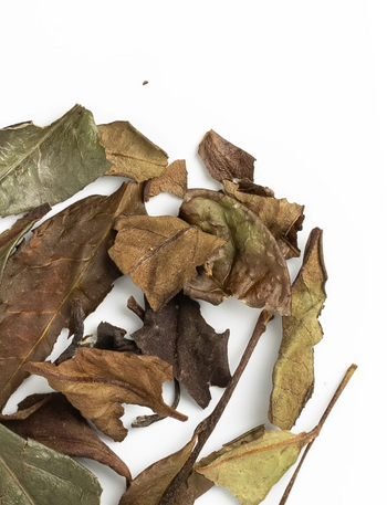 Leaf Me Up