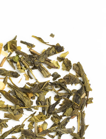 Moringa Muse