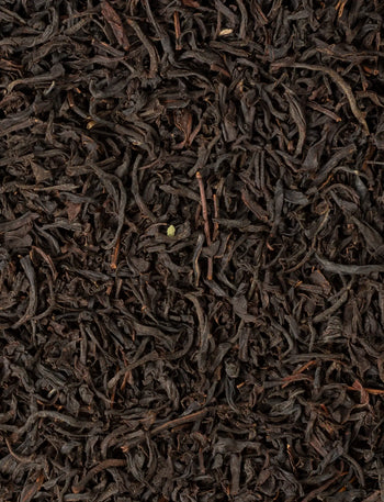 Nilgiri FOP