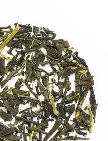 Sencha Premium