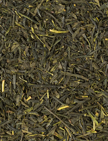 Sencha Premium