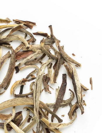 Silver Needle