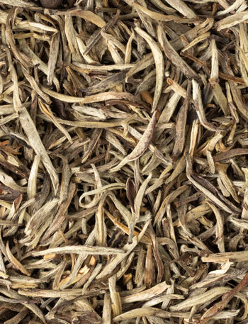 Silver Needle