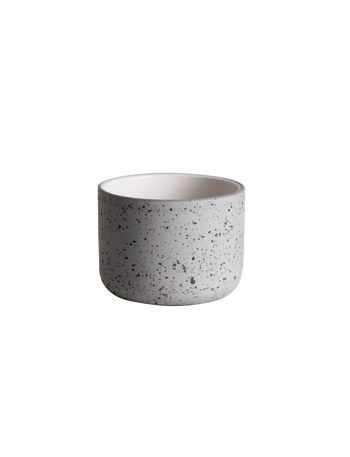 Tasse Fundament