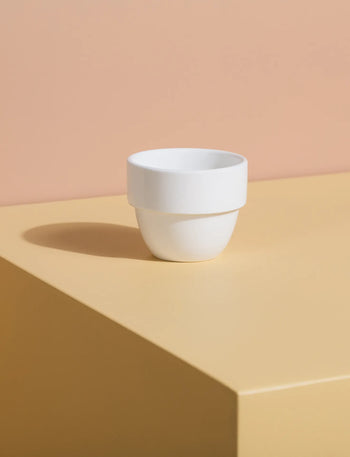 Taster Cup Medium